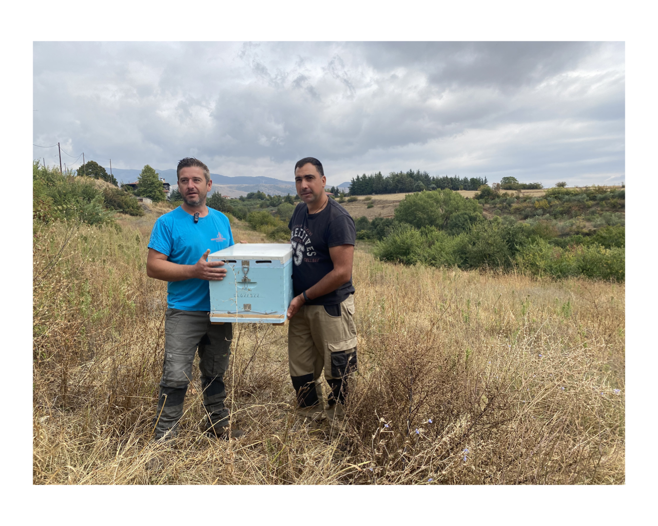 Blütenhonig - Naturbelassen & Rein - Méli - 270g