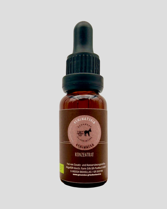 Echinacea Konzentrat - Echinatseia 20ml