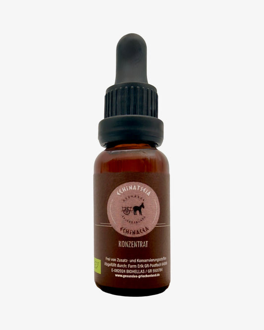Echinacea Konzentrat - Echinatseia 20ml